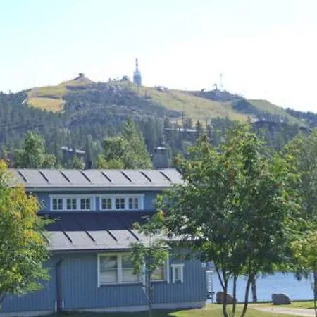 Holiday Kelokivakka D20